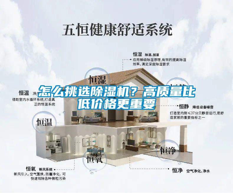 怎么挑选黄瓜视频下载污机？高质量比低价格更重要
