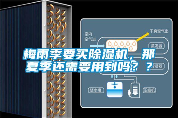梅雨季要买黄瓜视频下载污机，那夏季还需要用到吗？？