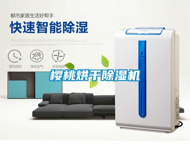 樱桃烘干黄瓜视频下载污机