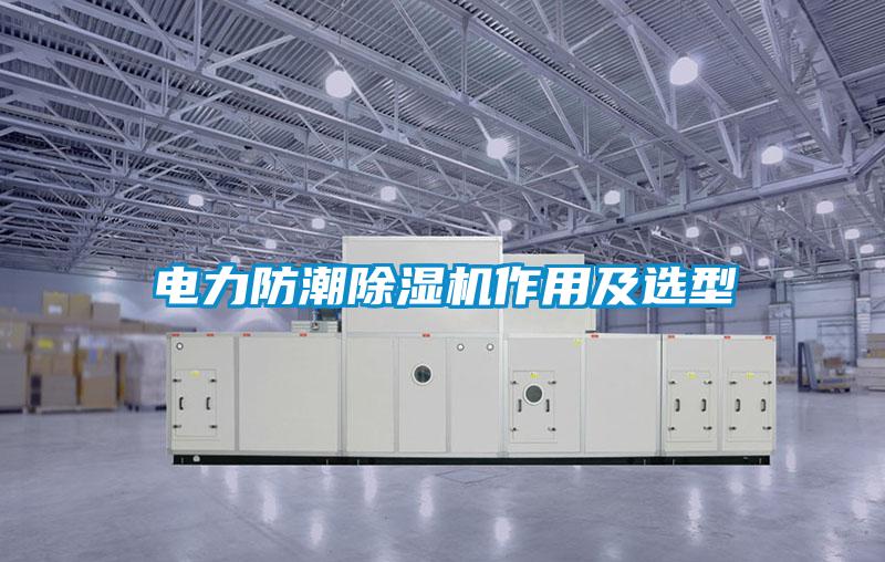 电力防潮黄瓜视频下载污机作用及选型
