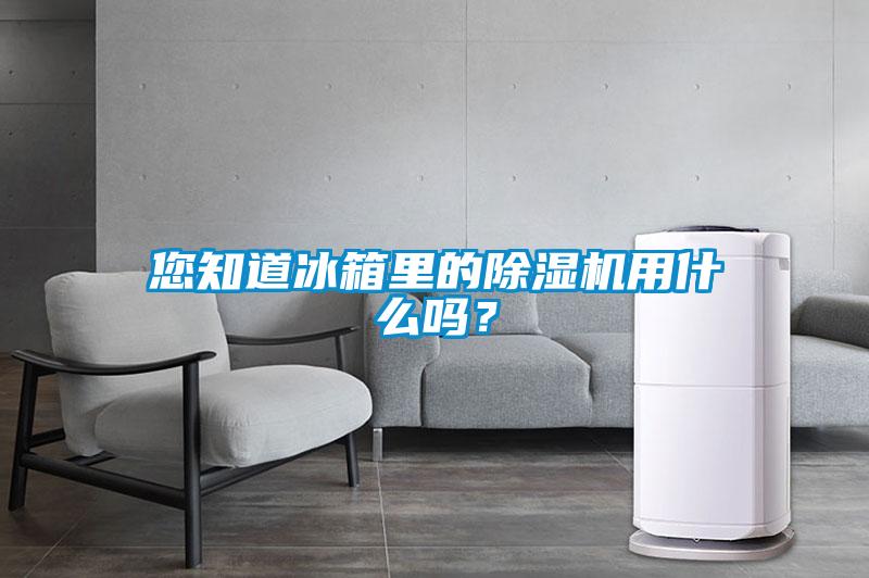 您知道冰箱里的黄瓜视频下载污机用什么吗？
