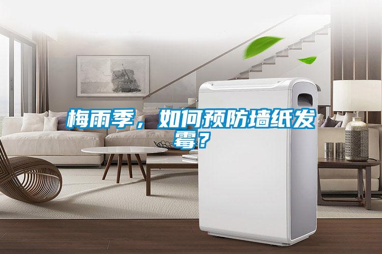 梅雨季，如何预防墙纸发霉？