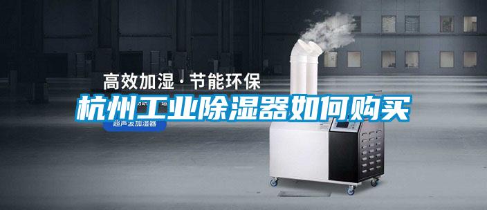 杭州工业黄瓜视频下载污器如何购买