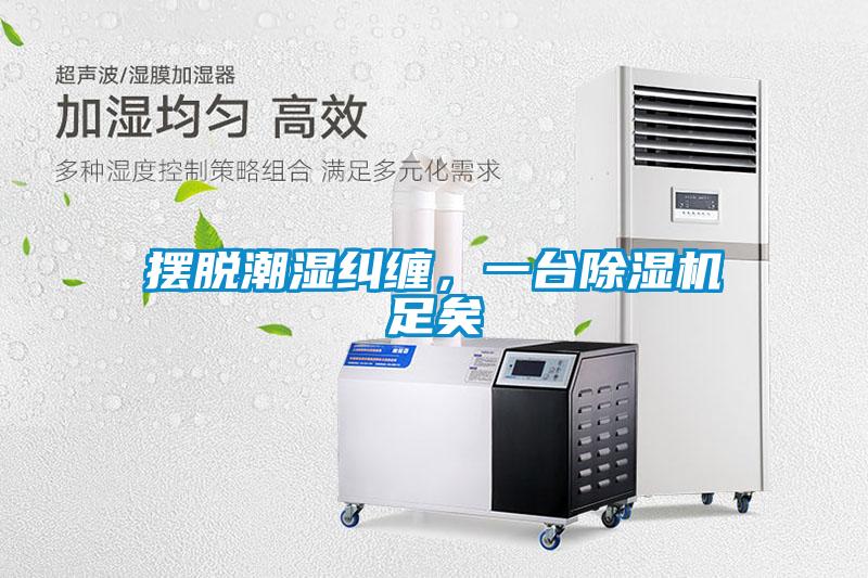 摆脱潮湿纠缠，一台黄瓜视频下载污机足矣