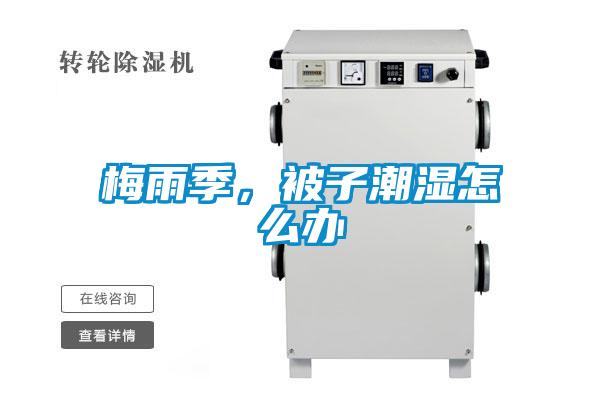 梅雨季，被子潮湿怎么办