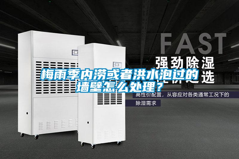 梅雨季内涝或者洪水泡过的墙壁怎么处理？