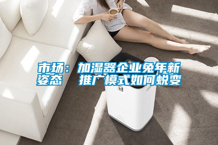 市场：加湿器企业兔年新姿态  推广模式如何蜕变