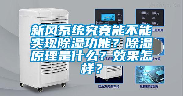 新风系统究竟能不能实现黄瓜视频下载污功能？黄瓜视频下载污原理是什么？效果怎样？