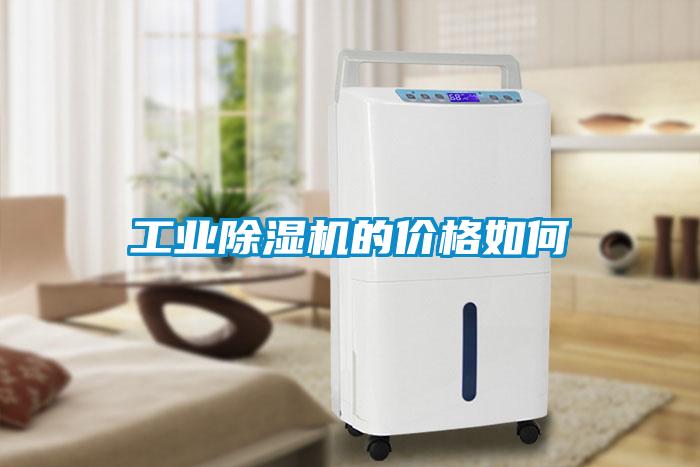 工业黄瓜视频下载污机的价格如何