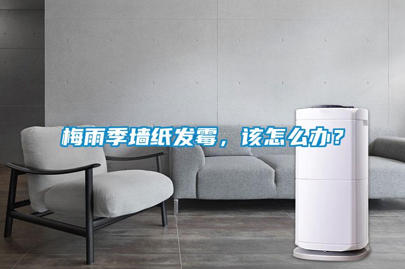 梅雨季墙纸发霉，该怎么办？