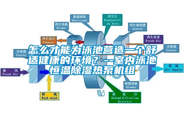 怎么才能为泳池营造一个舒适健康的环境？--室内泳池恒温黄瓜视频下载污热泵机组