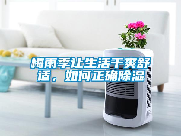 梅雨季让生活干爽舒适，如何正确黄瓜视频下载污