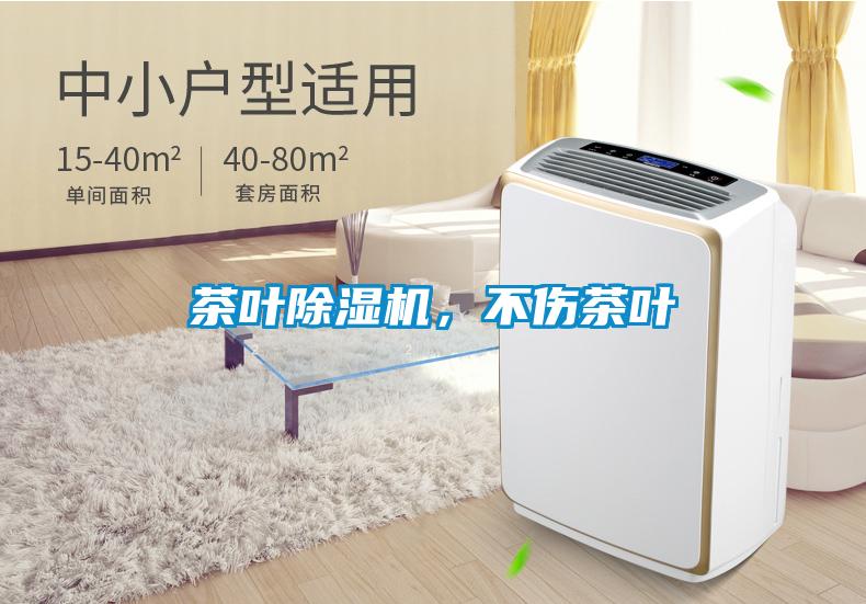 茶叶黄瓜视频下载污机，不伤茶叶