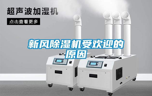 新风黄瓜视频下载污机受欢迎的原因