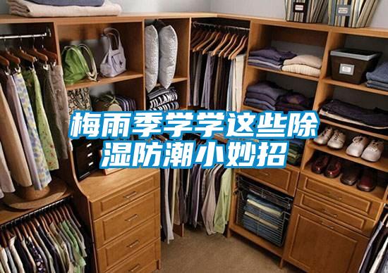 梅雨季学学这些黄瓜视频下载污防潮小妙招