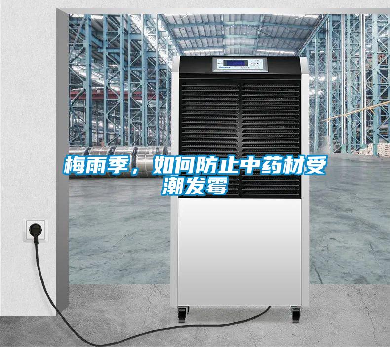 梅雨季，如何防止中药材受潮发霉