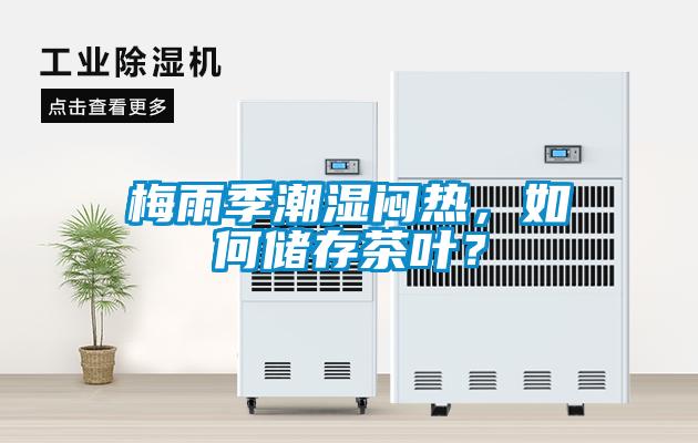梅雨季潮湿闷热，如何储存茶叶？
