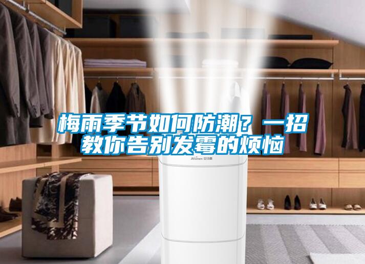 梅雨季节如何防潮？一招教你告别发霉的烦恼