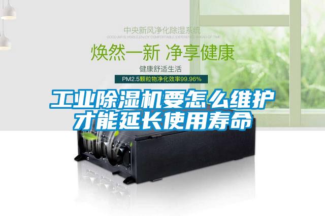 工业黄瓜视频下载污机要怎么维护才能延长使用寿命
