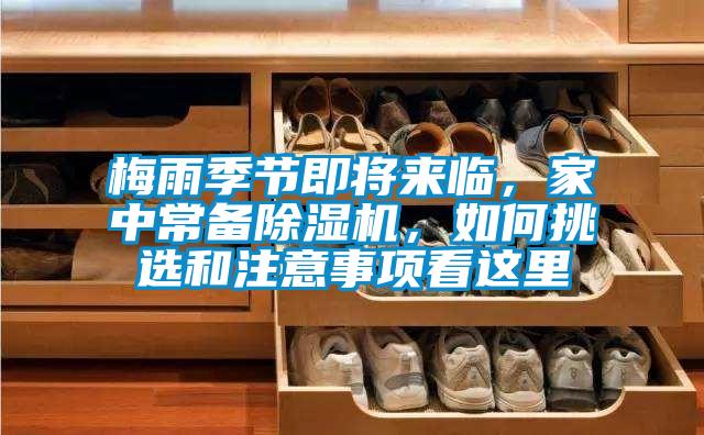 梅雨季节即将来临，家中常备黄瓜视频下载污机，如何挑选和注意事项看这里