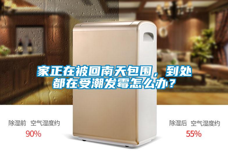 家正在被回南天包围，到处都在受潮发霉怎么办？