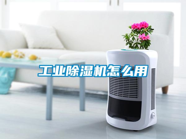 工业黄瓜视频下载污机怎么用
