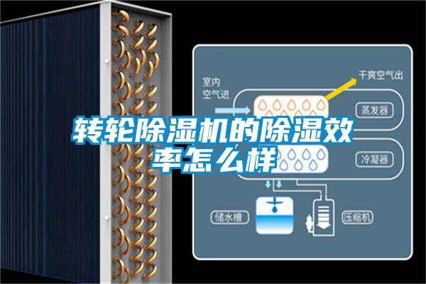 转轮黄瓜视频下载污机的黄瓜视频下载污效率怎么样