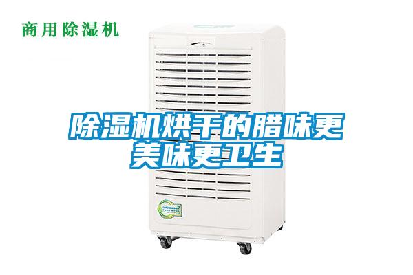 黄瓜视频下载污机烘干的腊味更美味更卫生