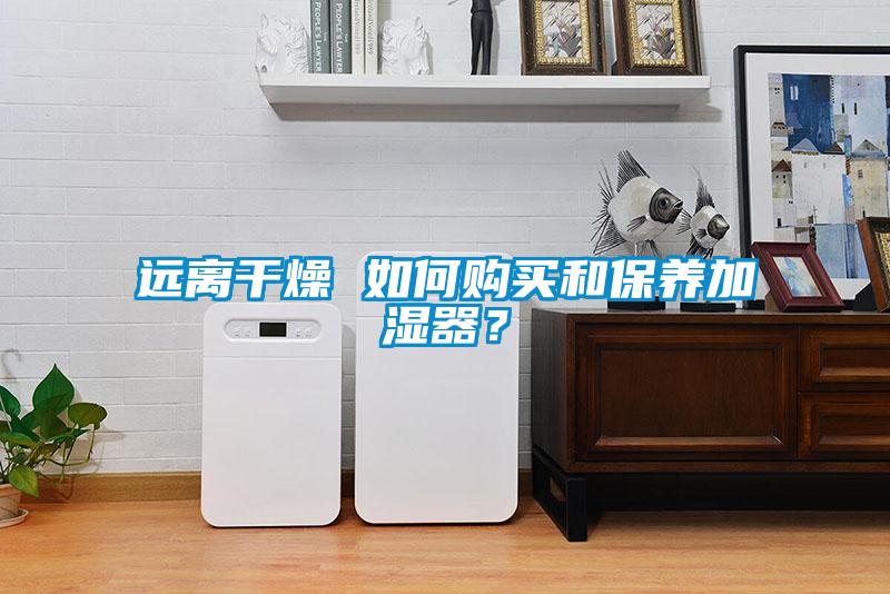 远离干燥 如何购买和保养加湿器？