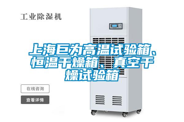 上海巨为高温试验箱、恒温干燥箱、真空干燥试验箱