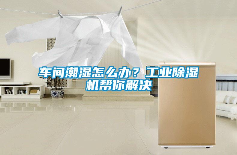 车间潮湿怎么办？工业黄瓜视频下载污机帮你解决