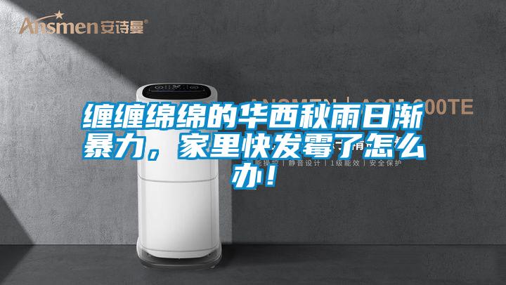 缠缠绵绵的华西秋雨日渐暴力，家里快发霉了怎么办！