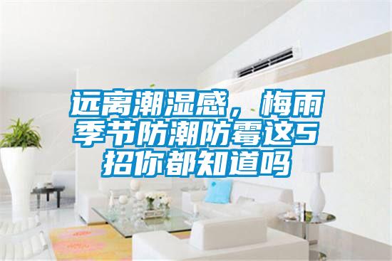 远离潮湿感，梅雨季节防潮防霉这5招你都知道吗