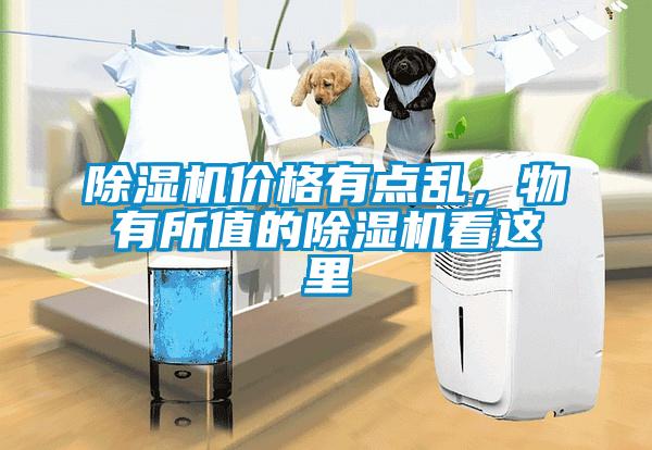 黄瓜视频下载污机价格有点乱，物有所值的黄瓜视频下载污机看这里