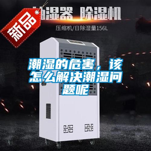 潮湿的危害，该怎么解决潮湿问题呢