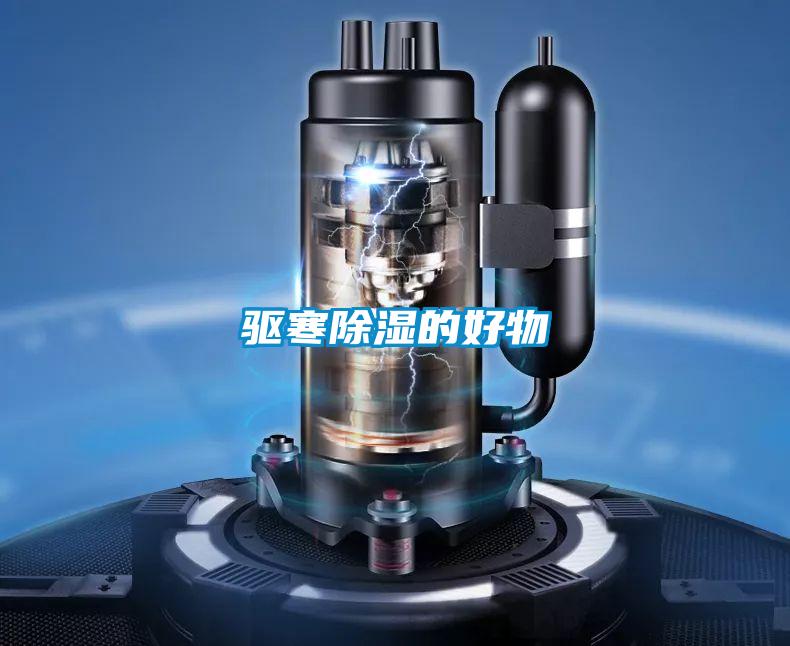 驱寒黄瓜视频下载污的好物