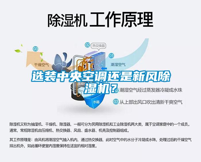 选装中央空调还是新风黄瓜视频下载污机？