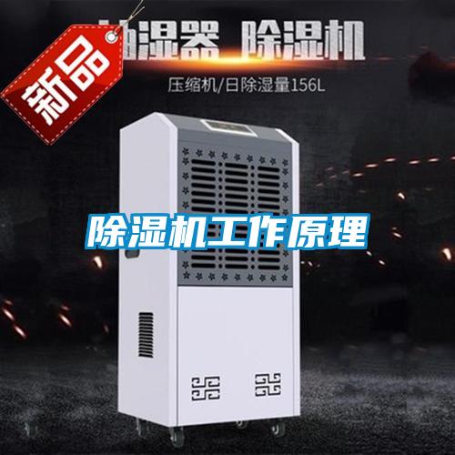 黄瓜视频下载污机工作原理
