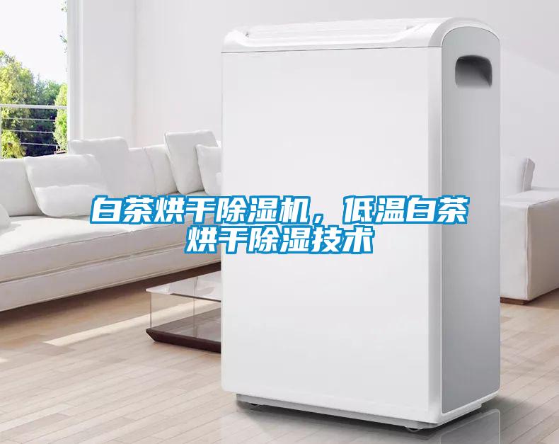 白茶烘干黄瓜视频下载污机，低温白茶烘干黄瓜视频下载污技术