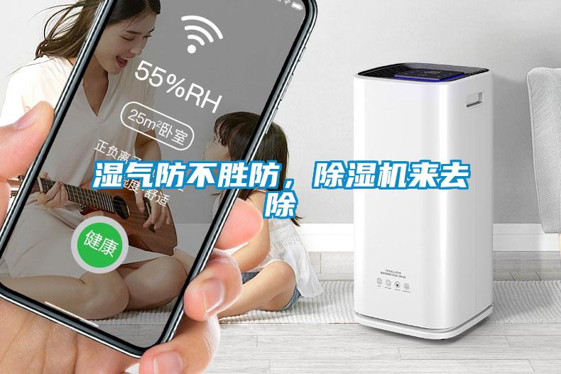 湿气防不胜防，黄瓜视频下载污机来去除