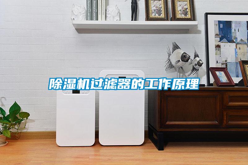黄瓜视频下载污机过滤器的工作原理