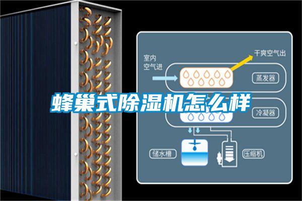 蜂巢式黄瓜视频下载污机怎么样