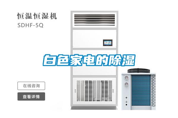 白色家电的黄瓜视频下载污