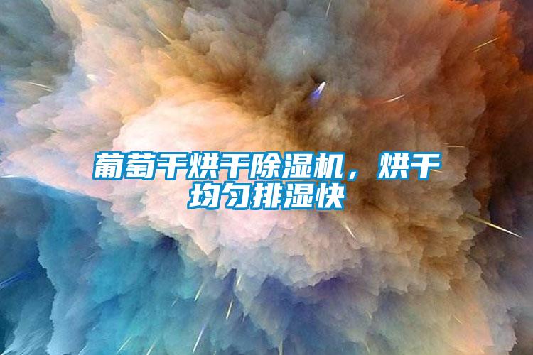 葡萄干烘干黄瓜视频下载污机，烘干均匀排湿快
