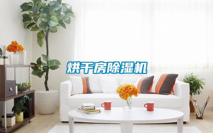 烘干房黄瓜视频下载污机