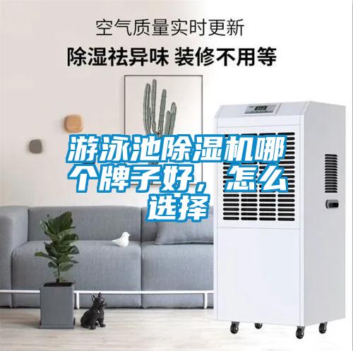 游泳池黄瓜视频下载污机哪个牌子好，怎么选择