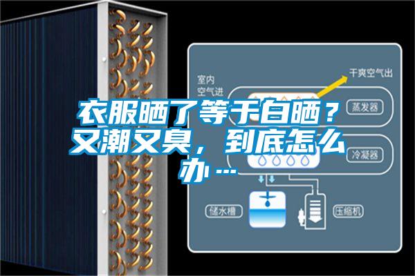 衣服晒了等于白晒？又潮又臭，到底怎么办…