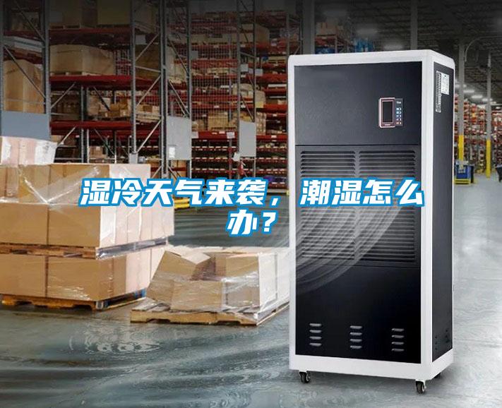 湿冷天气来袭，潮湿怎么办？