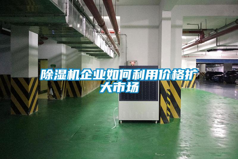 黄瓜视频下载污机企业如何利用价格扩大市场