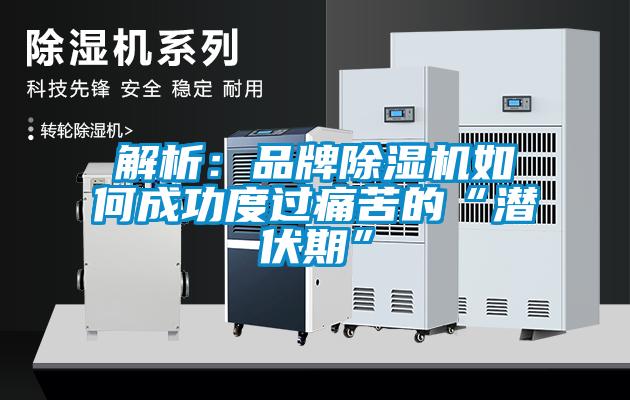 解析：品牌黄瓜视频下载污机如何成功度过痛苦的“潜伏期”